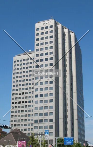 Photo 276-846-822