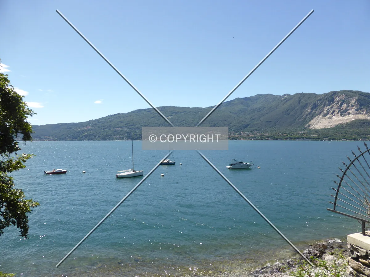 Photo 276-987-242