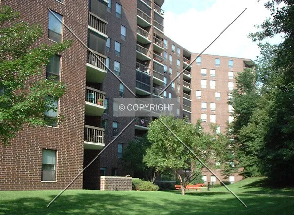 Photo 277-161-893