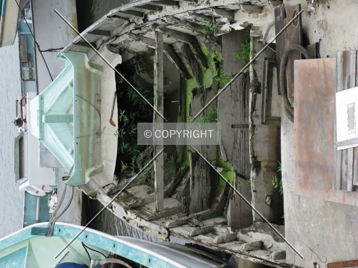 Photo 277-167-147