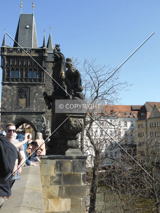 Photo 277-279-699