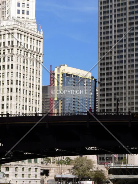 Photo 277-378-299
