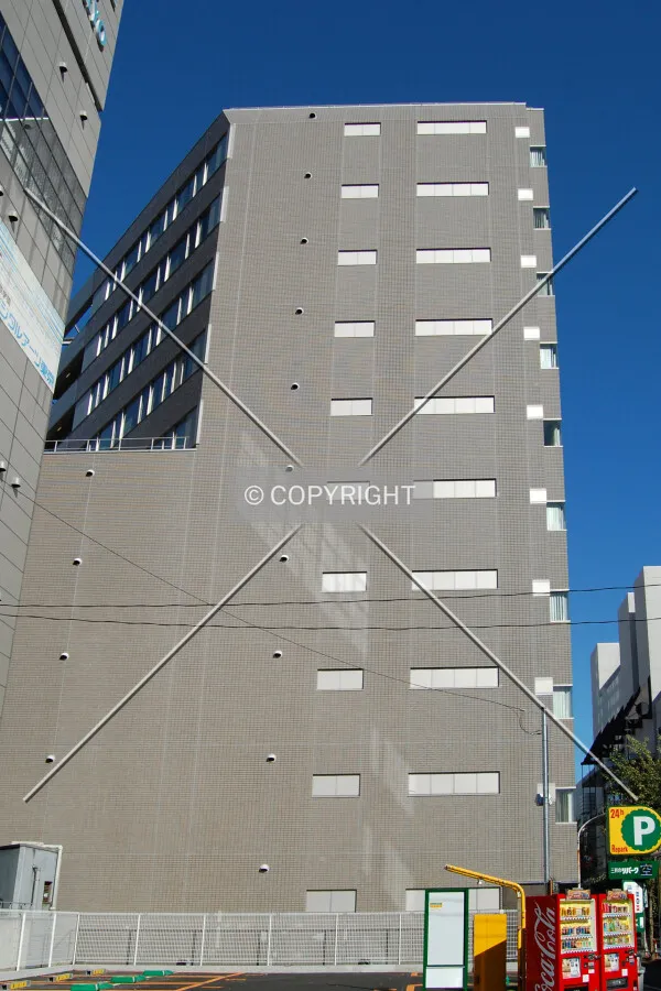 View from the south