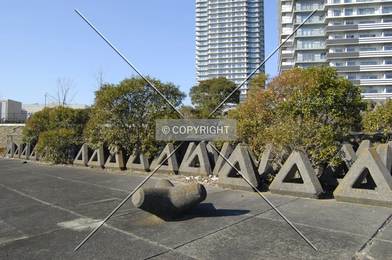 Photo 277-612-242
