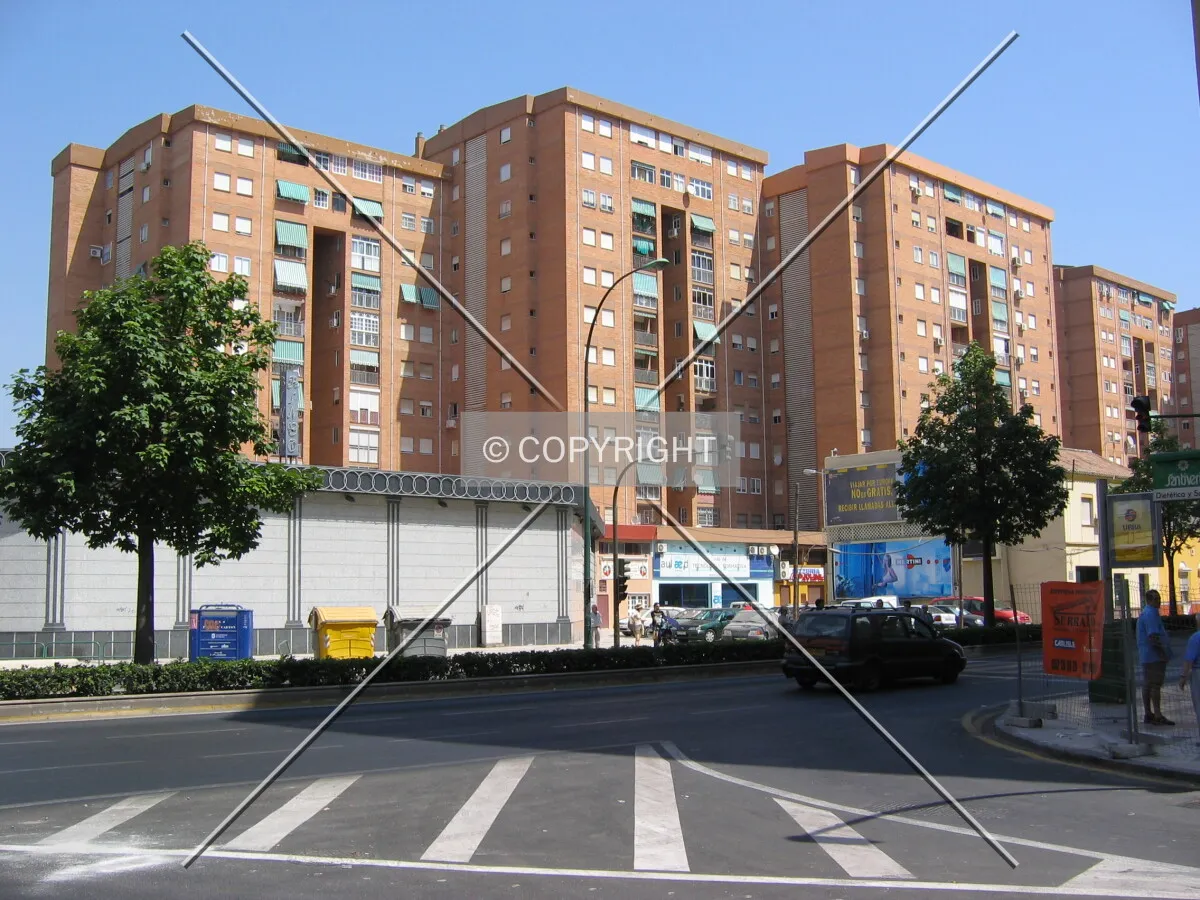 View from the south