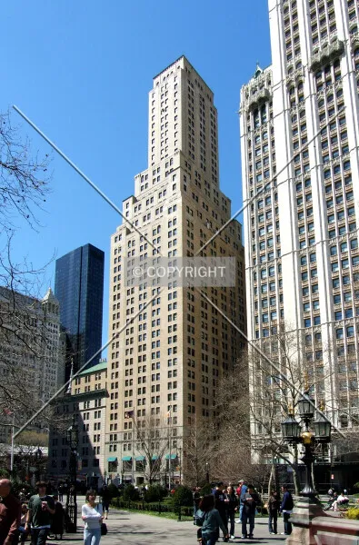 Photo 277-969-191