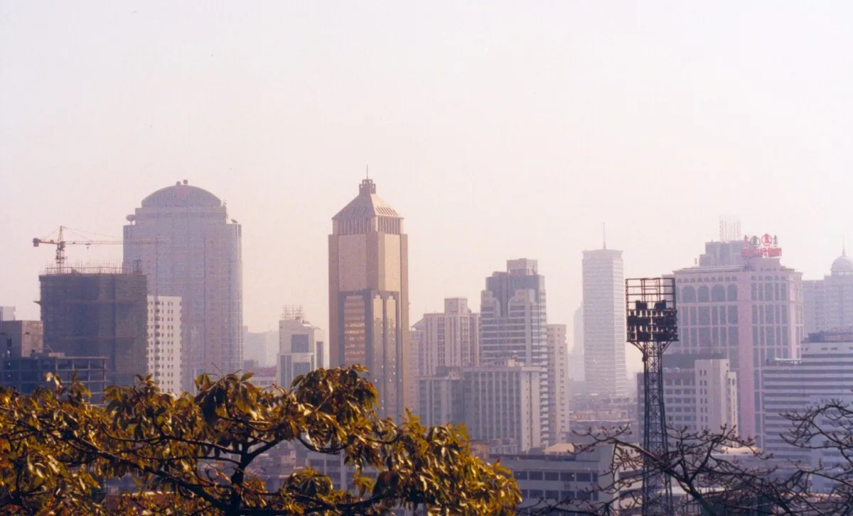 Panoramic view
