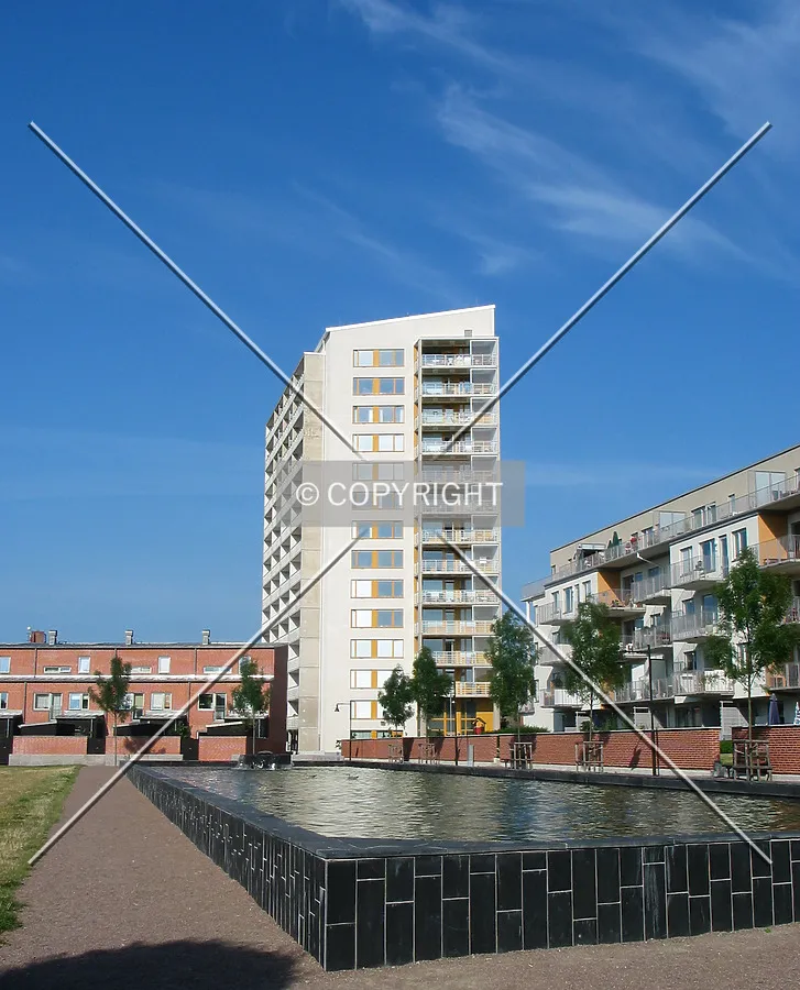 View from the east