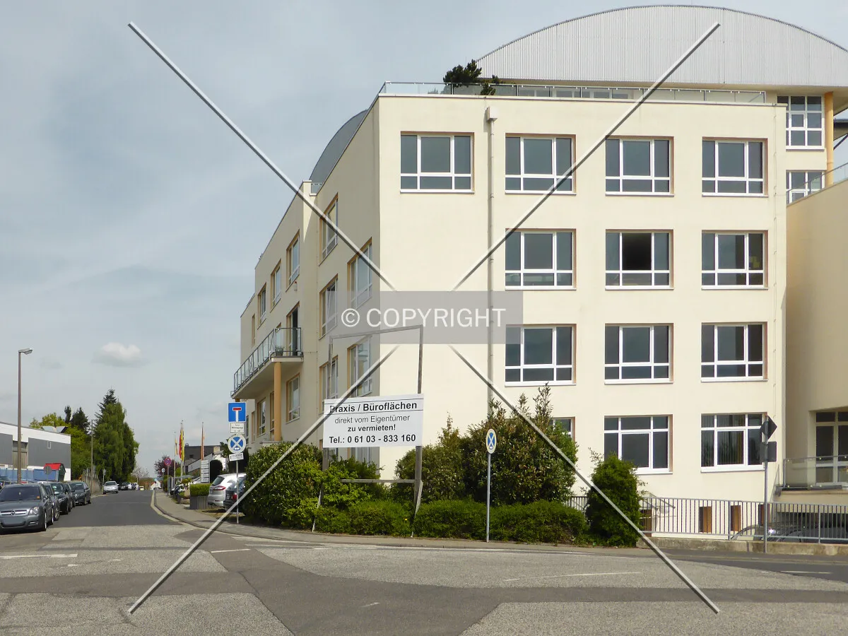 Photo 278-230-249
