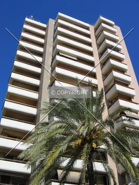 Photo 278-309-214