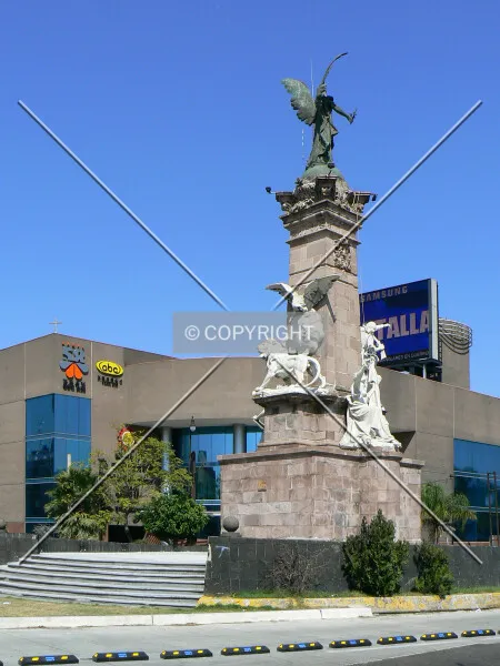 Photo 278-317-893
