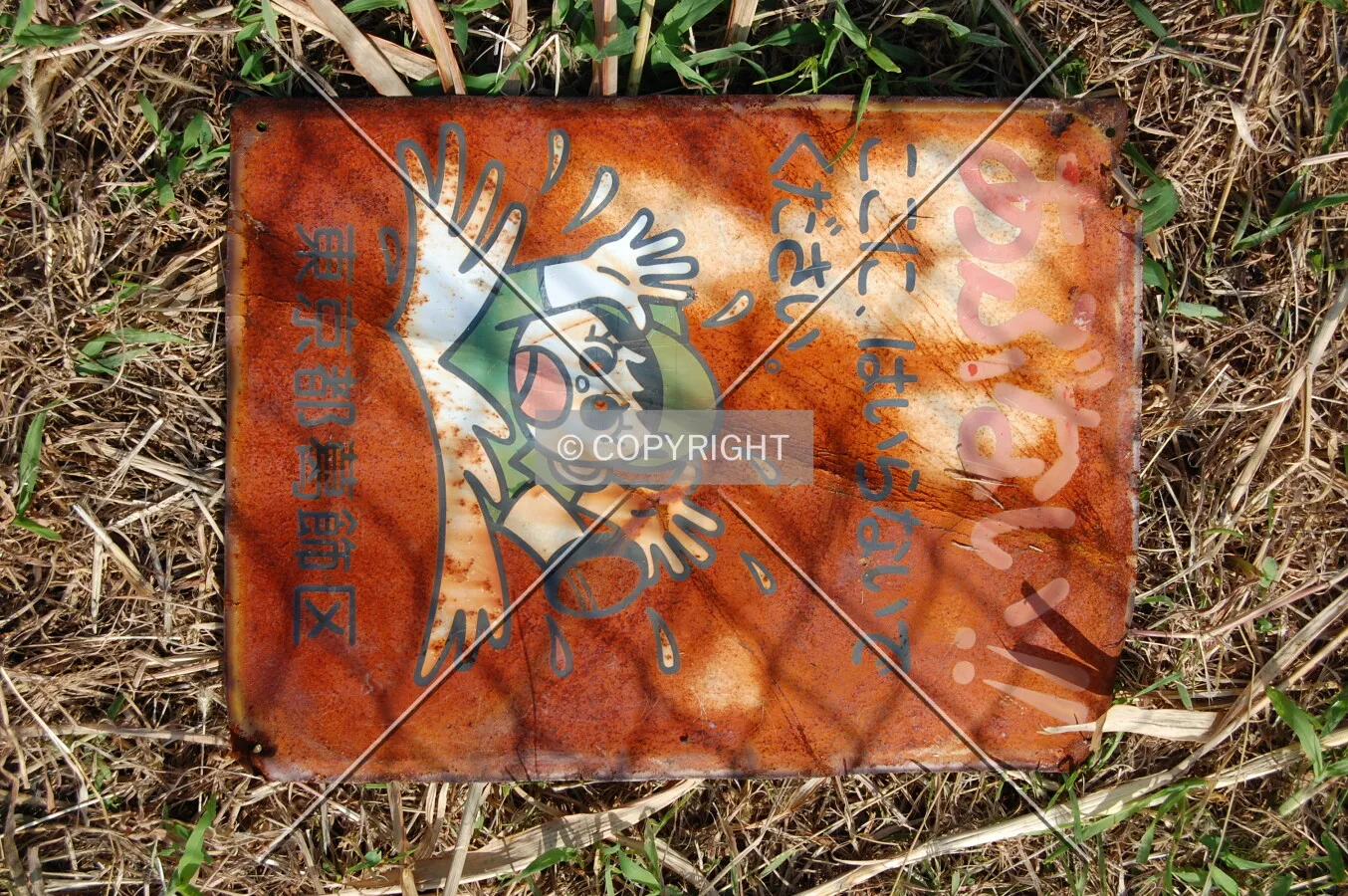 Photo 278-443-350