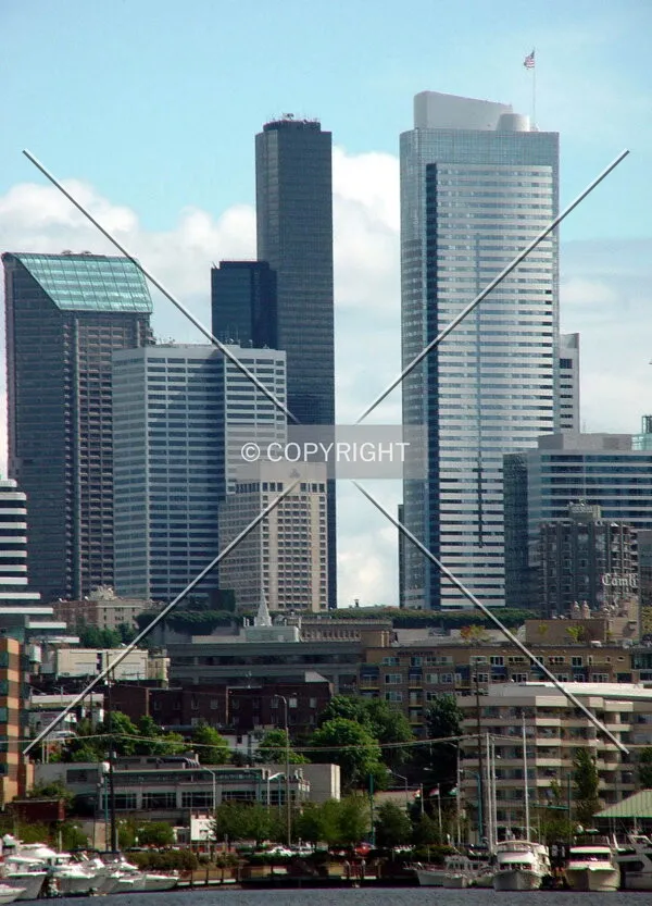 View from Lake Union