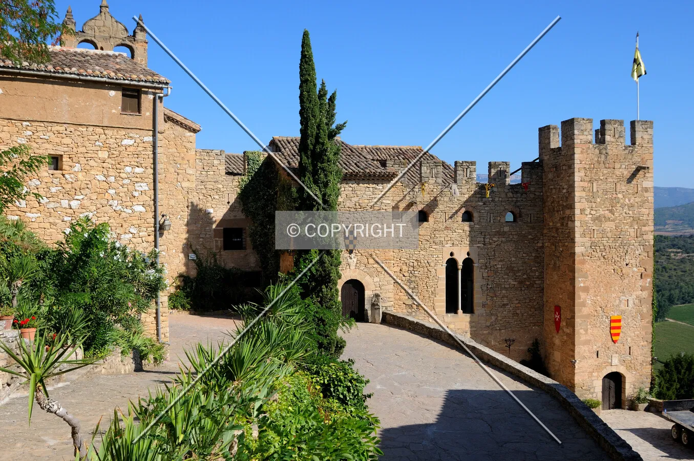 Montsonís castle