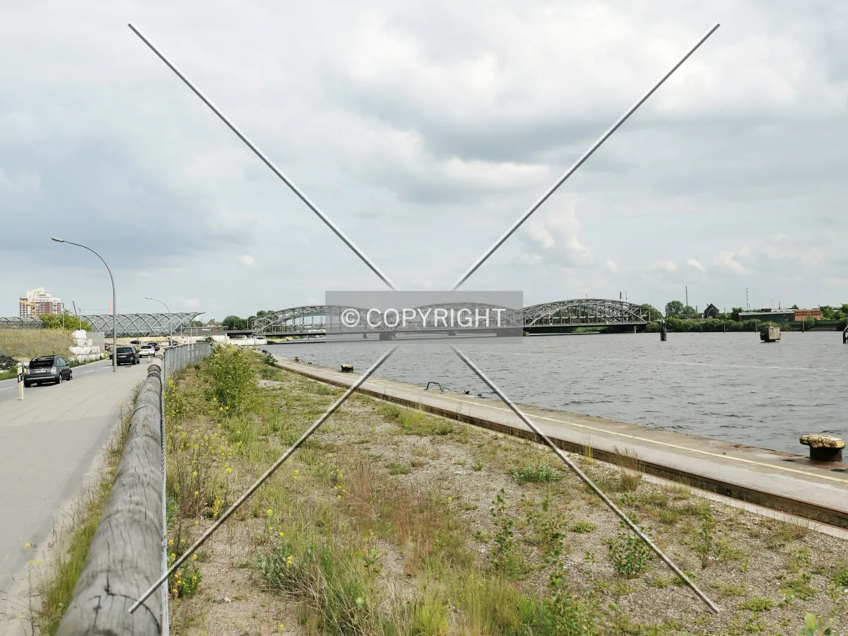 Photo 278-796-489