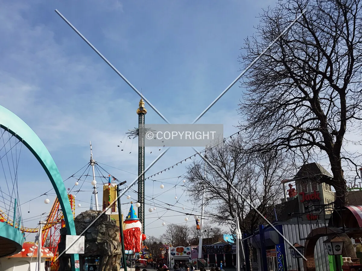 Photo 278-920-095