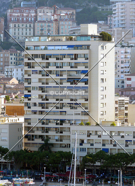 Photo 279-249-223