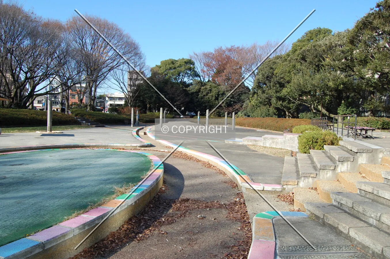 Photo 279-272-008