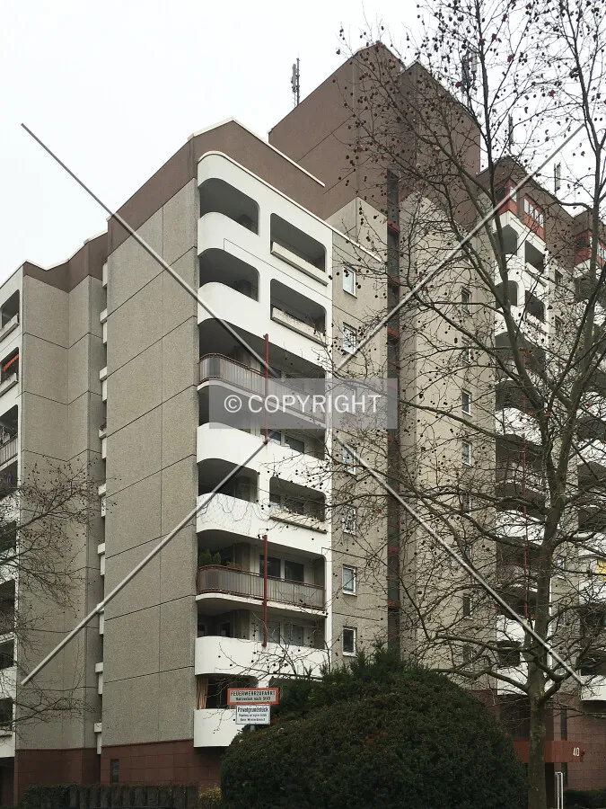 Photo 279-283-846