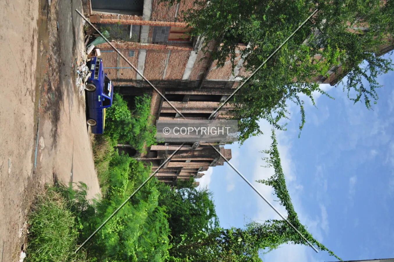Photo 279-378-689