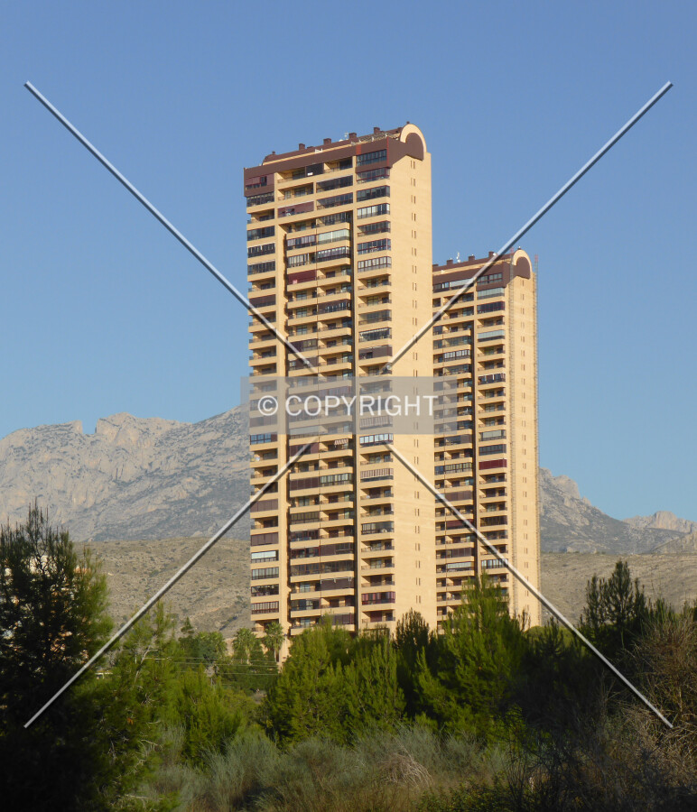 Photo 279-399-605