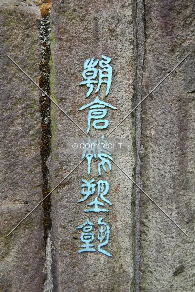 Photo 279-821-313