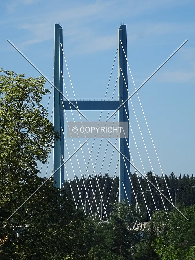 Photo 279-842-667