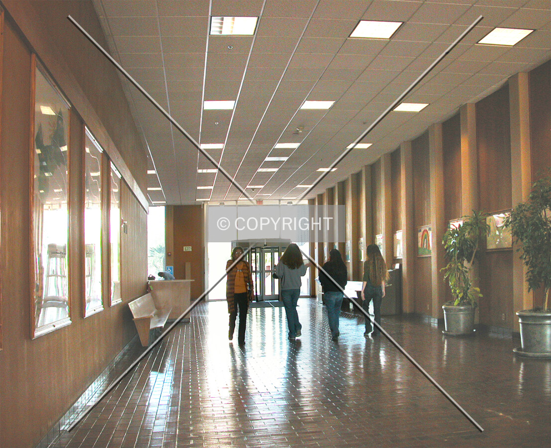 Ground floor hallway between entry doors