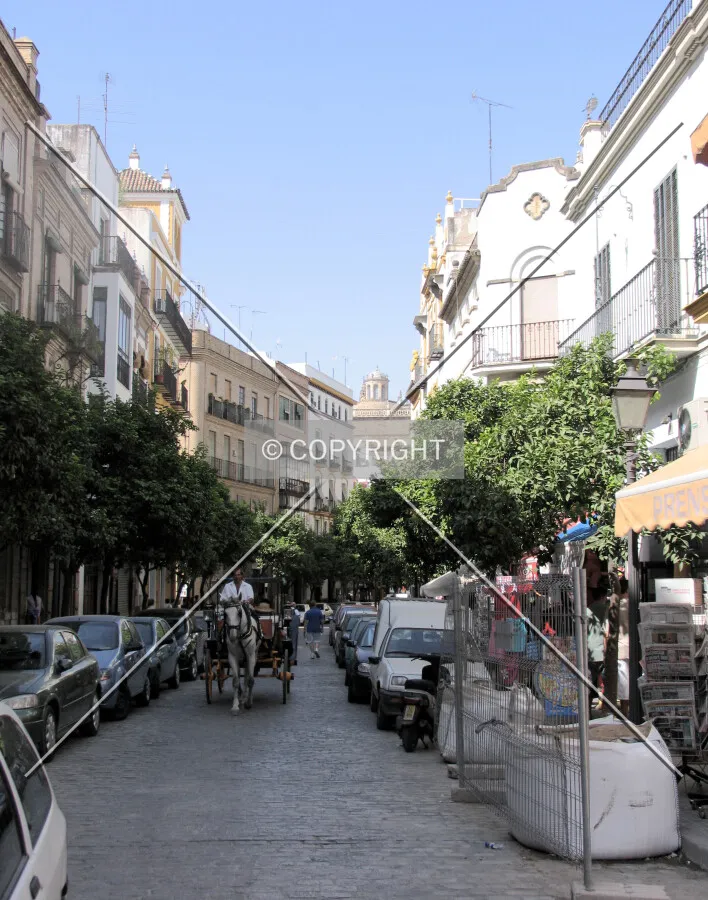 Photo 280-629-403