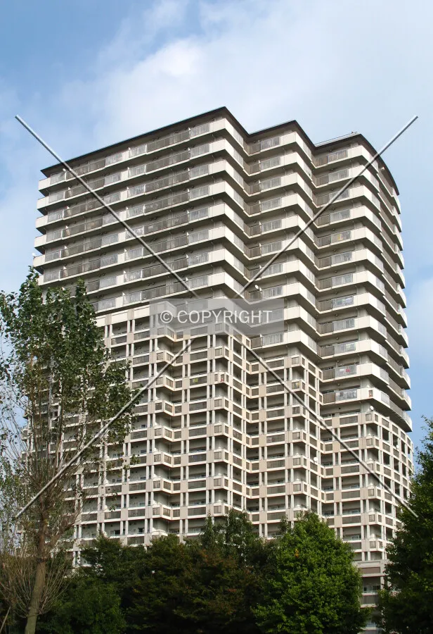 View from the southwest