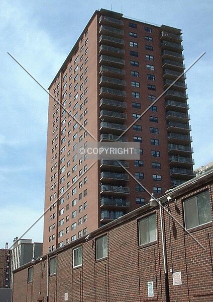 Photo 281-508-438