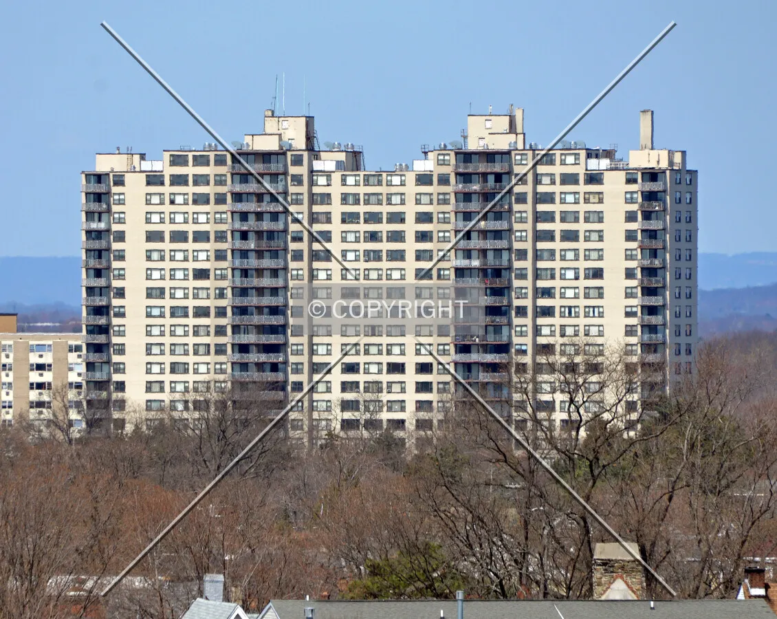 View from the southeast