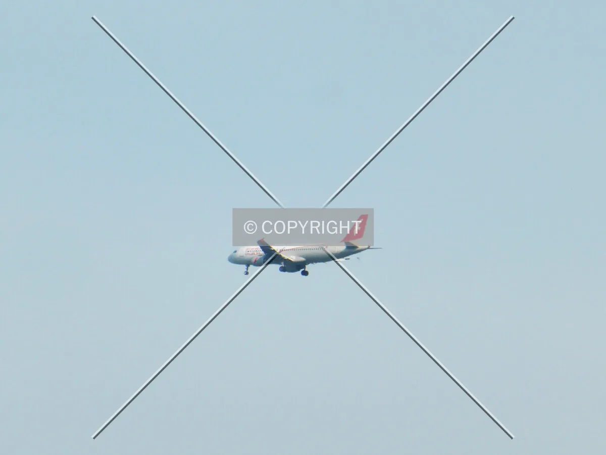 Plane landing at Frankfurt Airport