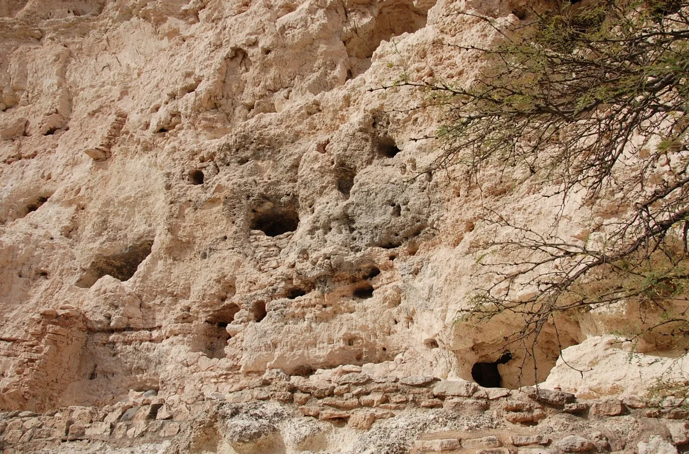 Detail of the cliff wall