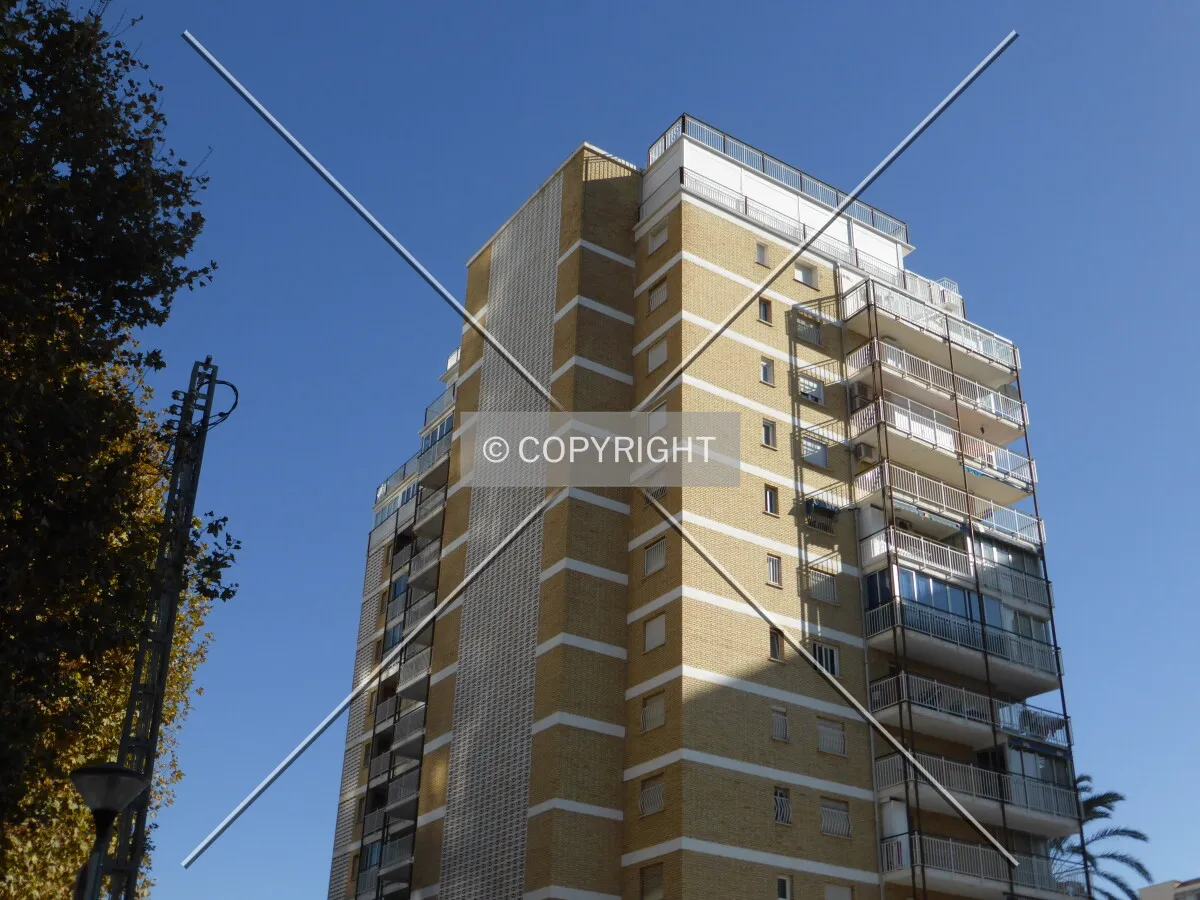 Photo 282-235-169