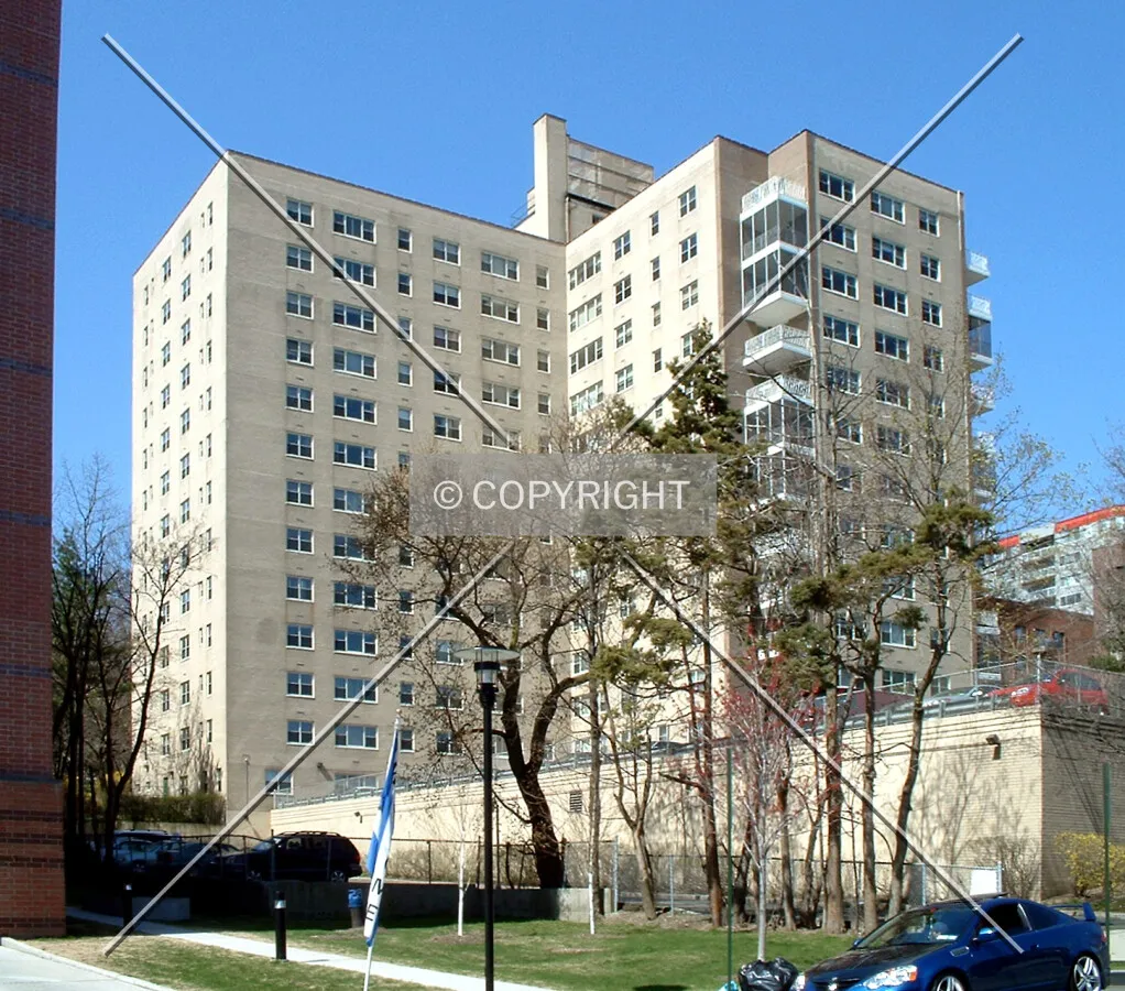 View from the southeast