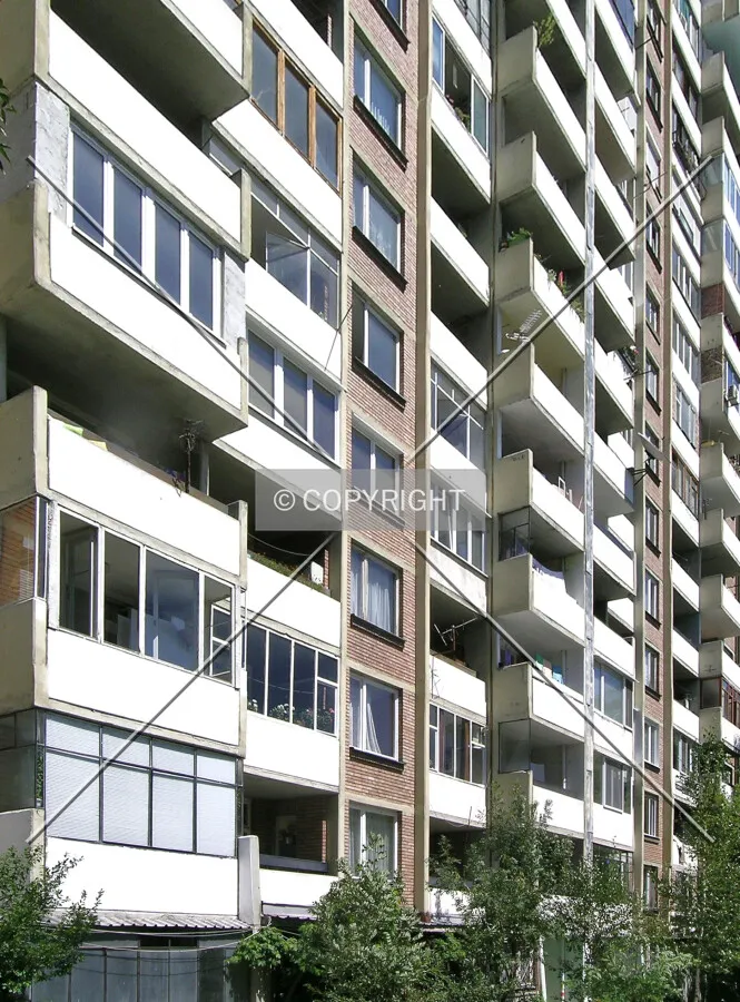 Photo 282-273-376