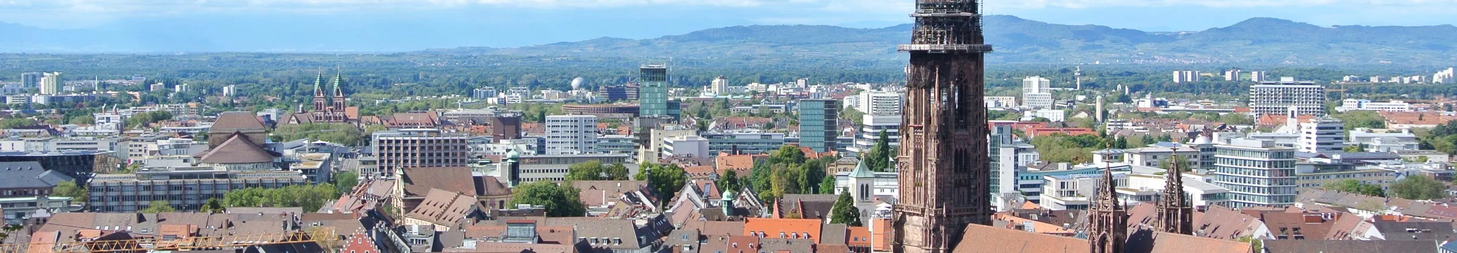 Panorama of Freiburg im Breisgau