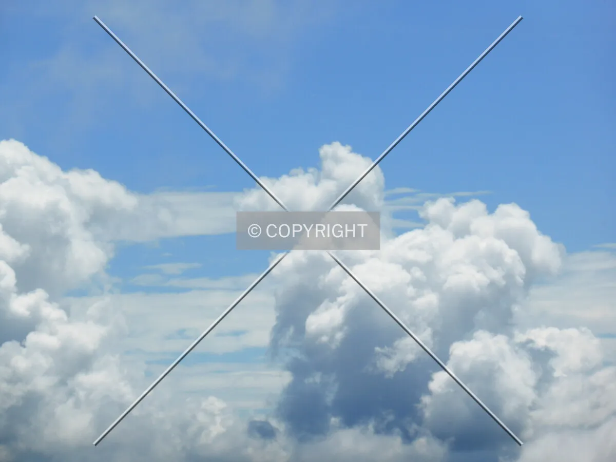 Photo 282-512-197