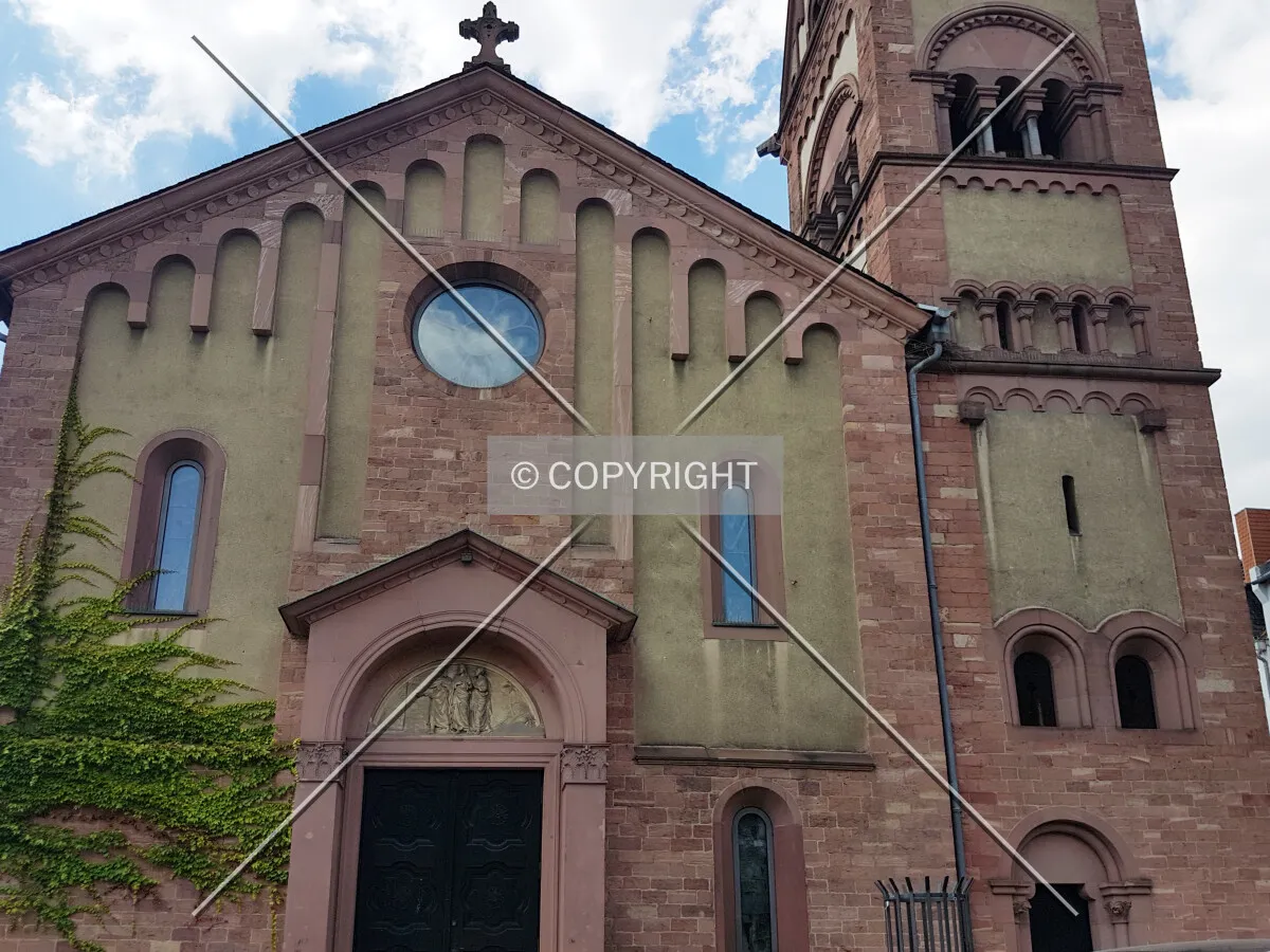 Photo 282-735-462