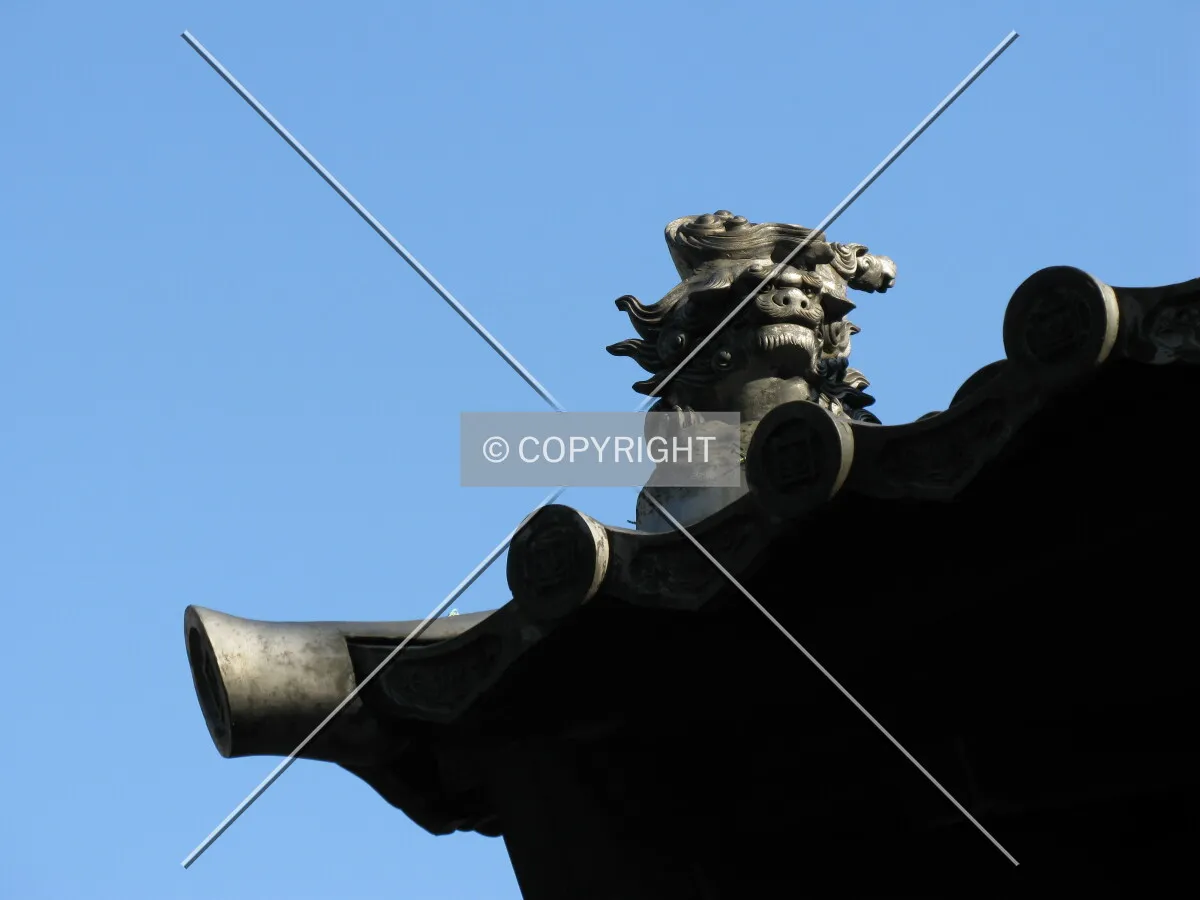 Photo 282-740-217