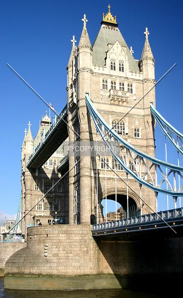 Photo 282-777-419