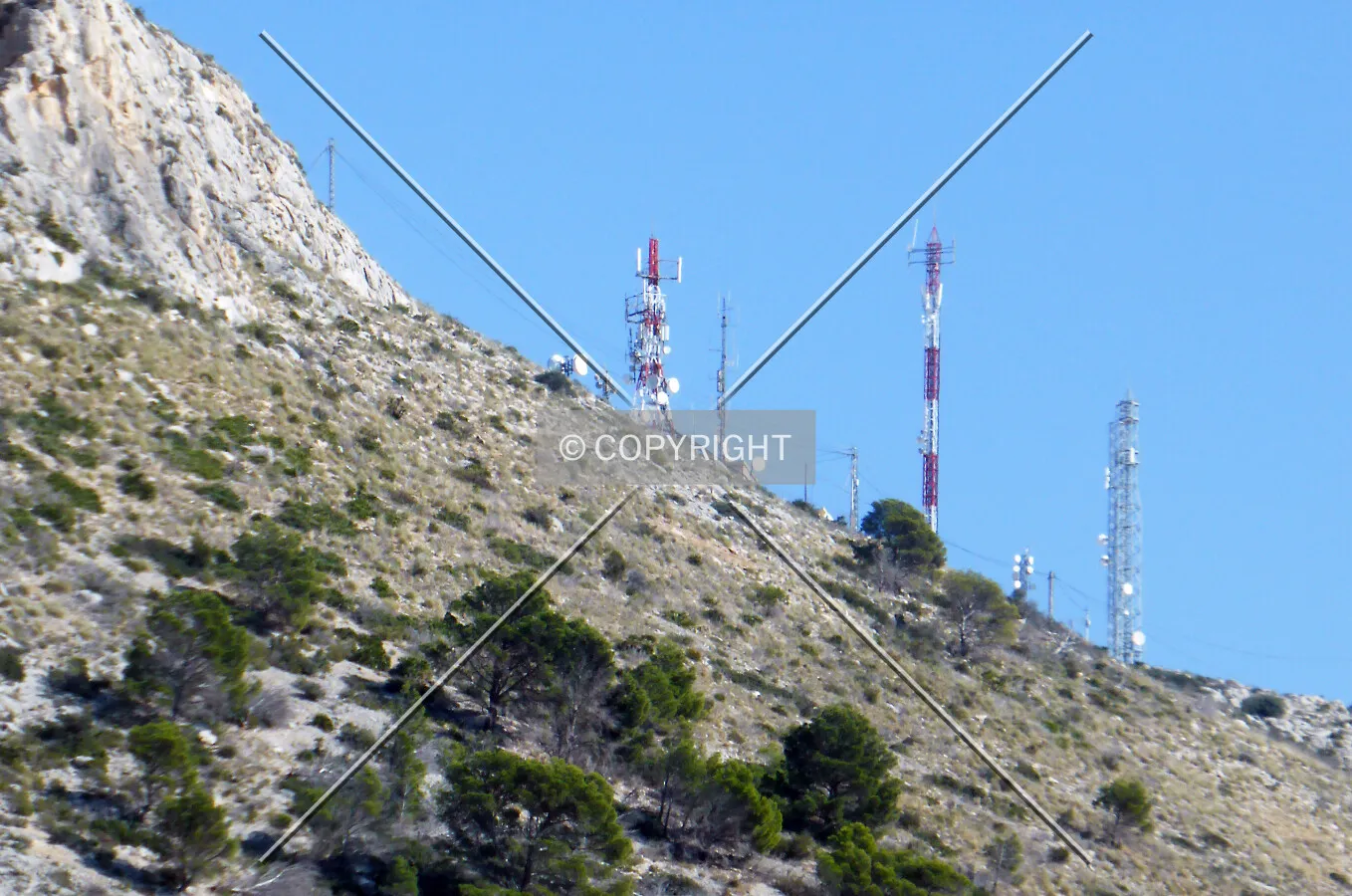 Photo 282-788-664