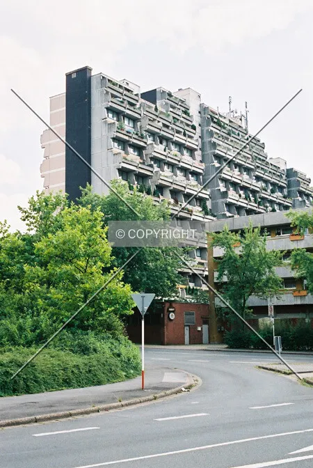 Photo 282-934-102