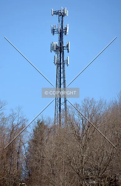 Photo 282-977-084