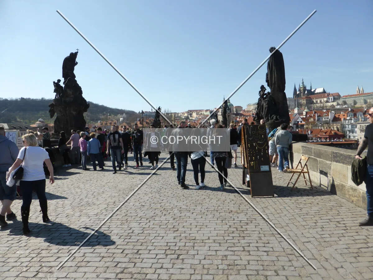 Photo 283-001-949