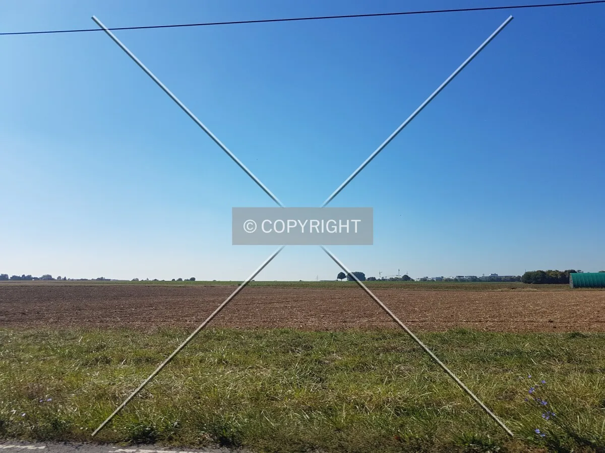 Photo 283-160-985