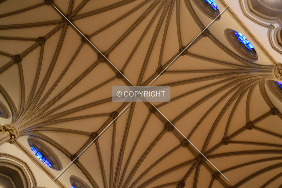 Photo 283-215-276