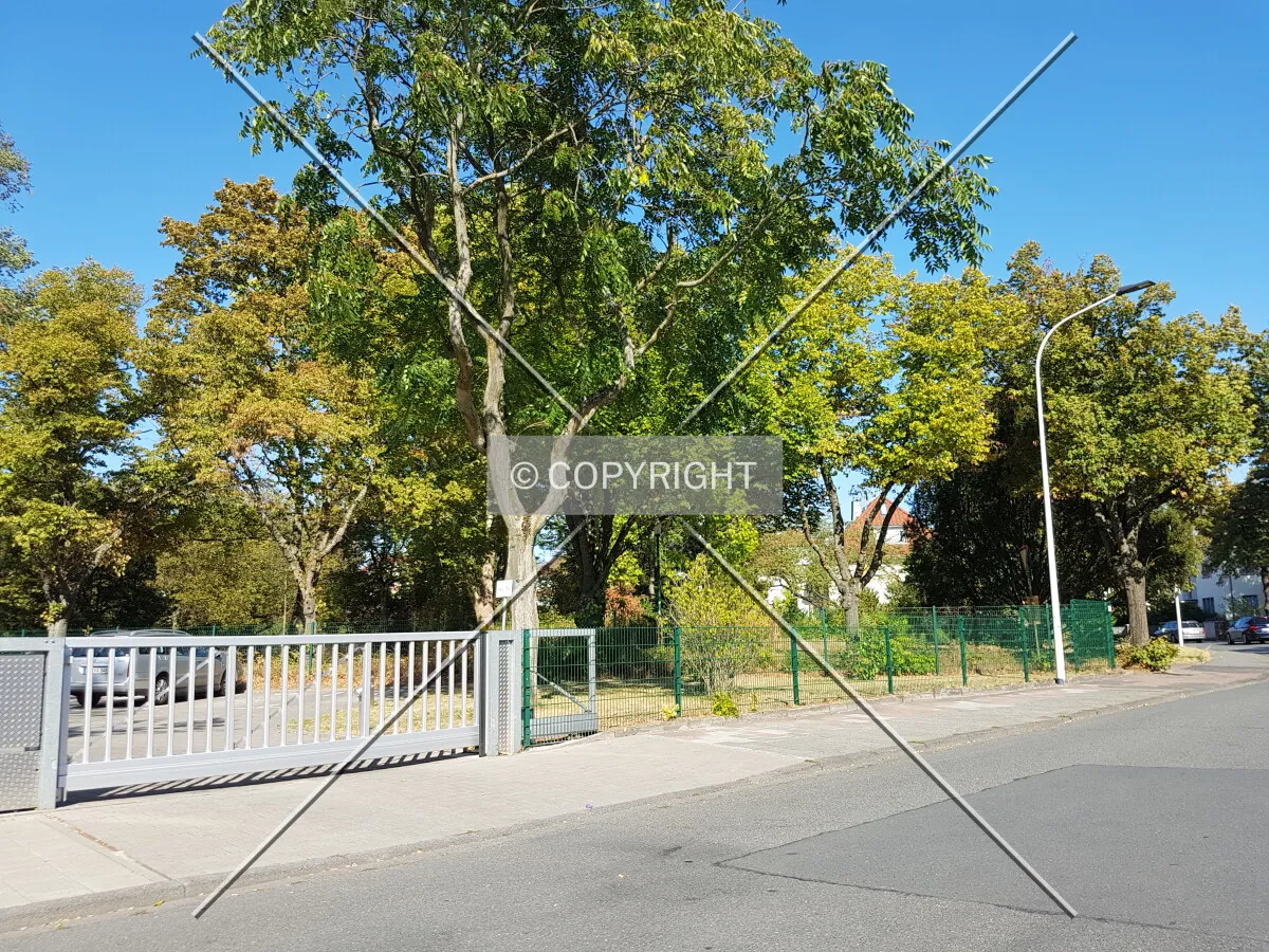 Photo 283-219-775