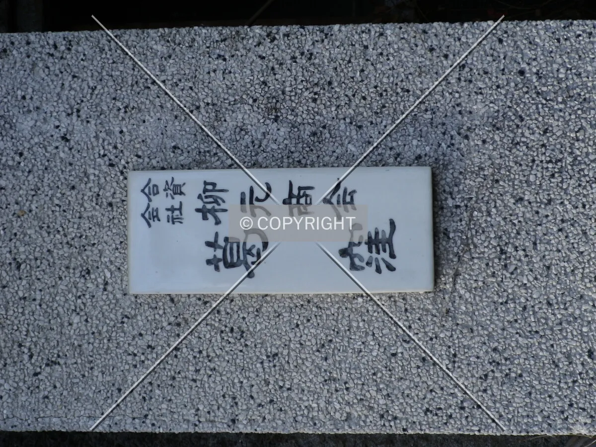 Photo 283-291-569